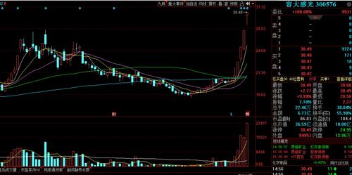12月30日低吸一股 附股